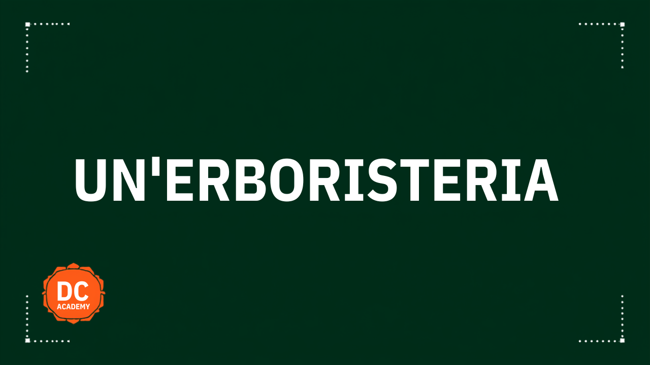Un'erboristeria con l'intelligenza artificiale, copertina DC Academy
