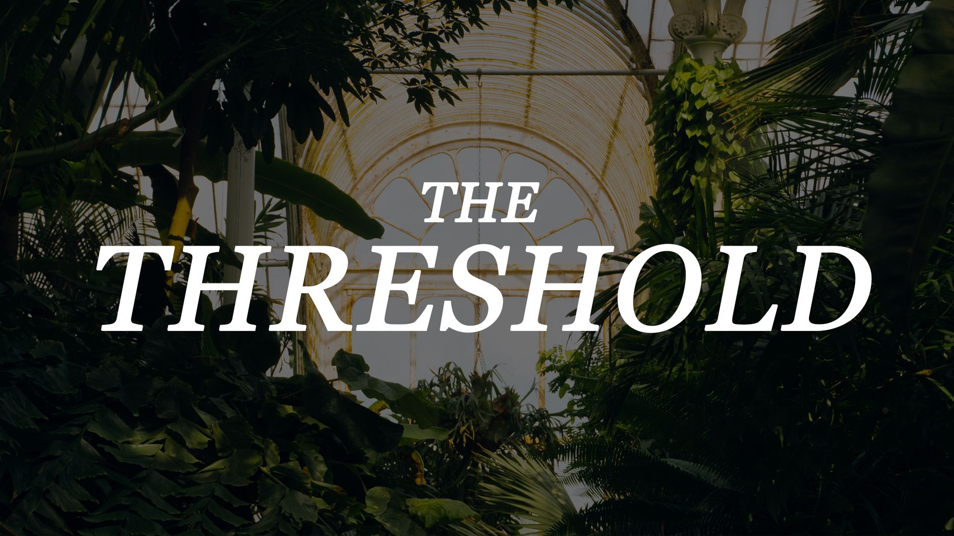 The Threshold — a monthly gathering for the Identity Exchange community