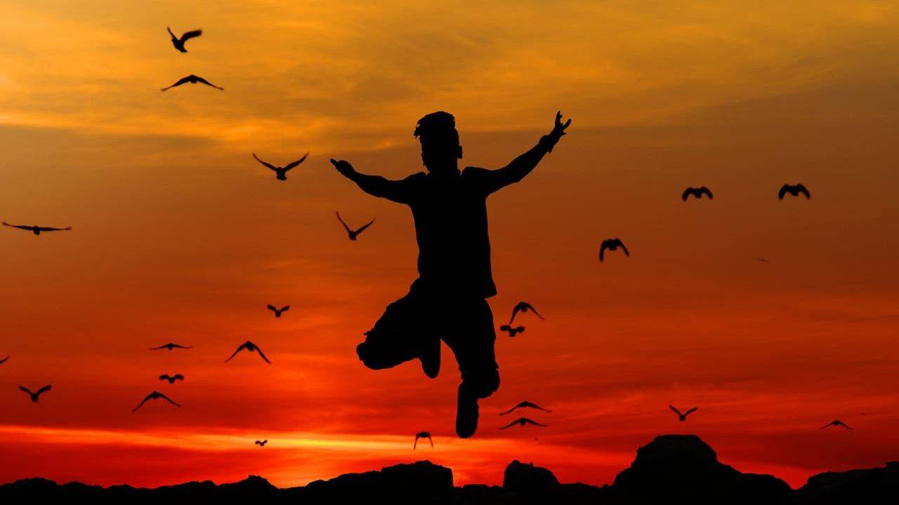 Freedom, Free Will and the Paradox of Choice