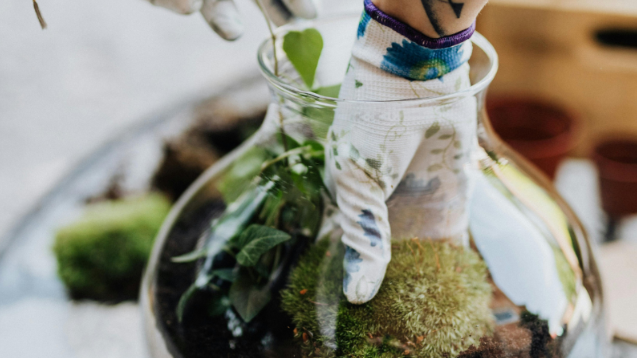 Person wearing gardening gloves placing plants in a glass terrarium