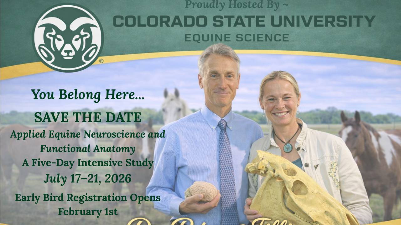 CSU-Event