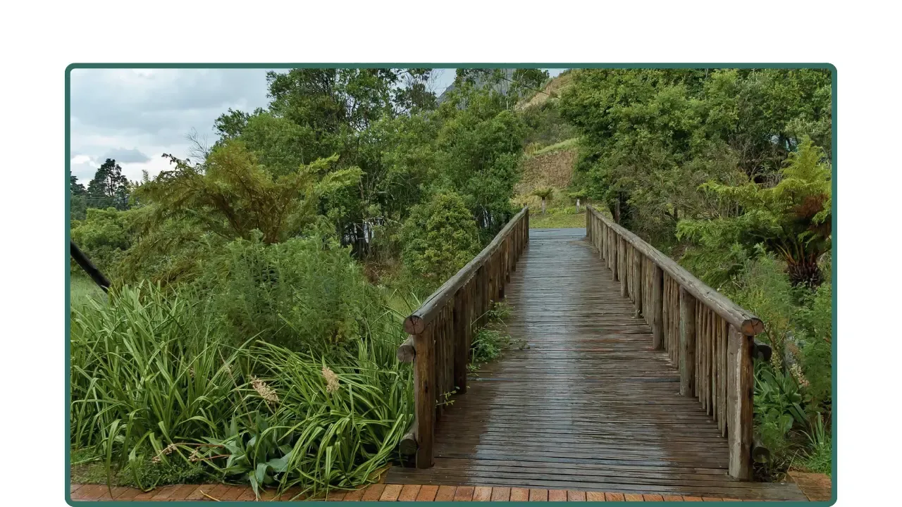 Puente de madera rodeado de vegetación, como símbolo de un primer paso hacia un cambio profesional.