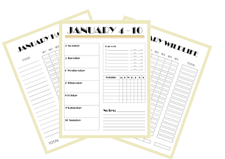 Three printed planners with weekly and daily schedules on a white background