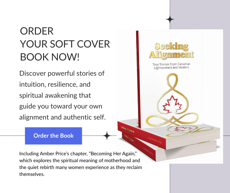 Seeking Alignment Soft Cover Book