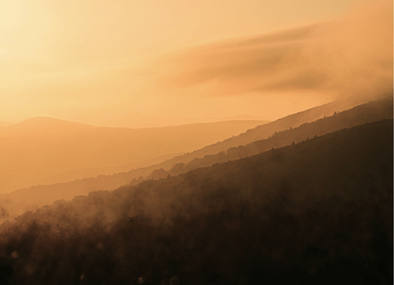 Nature Photo