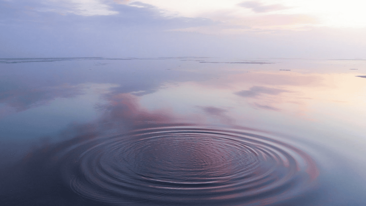 A vast view of the sea at dawn or dusk, several concentric circles rippling out in the water from the bottom edge. The horizon disappearing into the pink-blue sky.