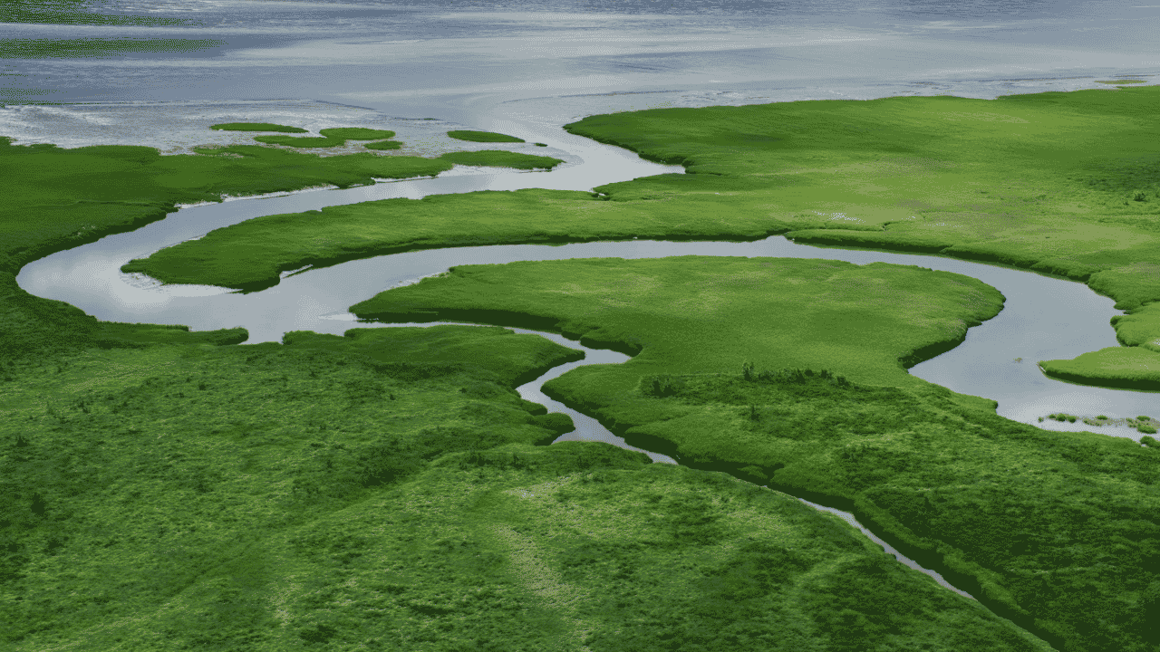 A dense, green estuary with a meandering river snaking through the middle, blue-gray, runs from the bottom of the image to an open sea at the top.