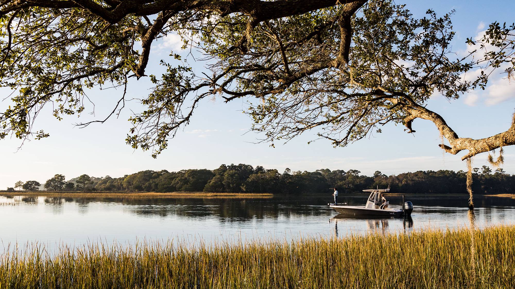 Live oaks over the Kiawah River at The Dunlin