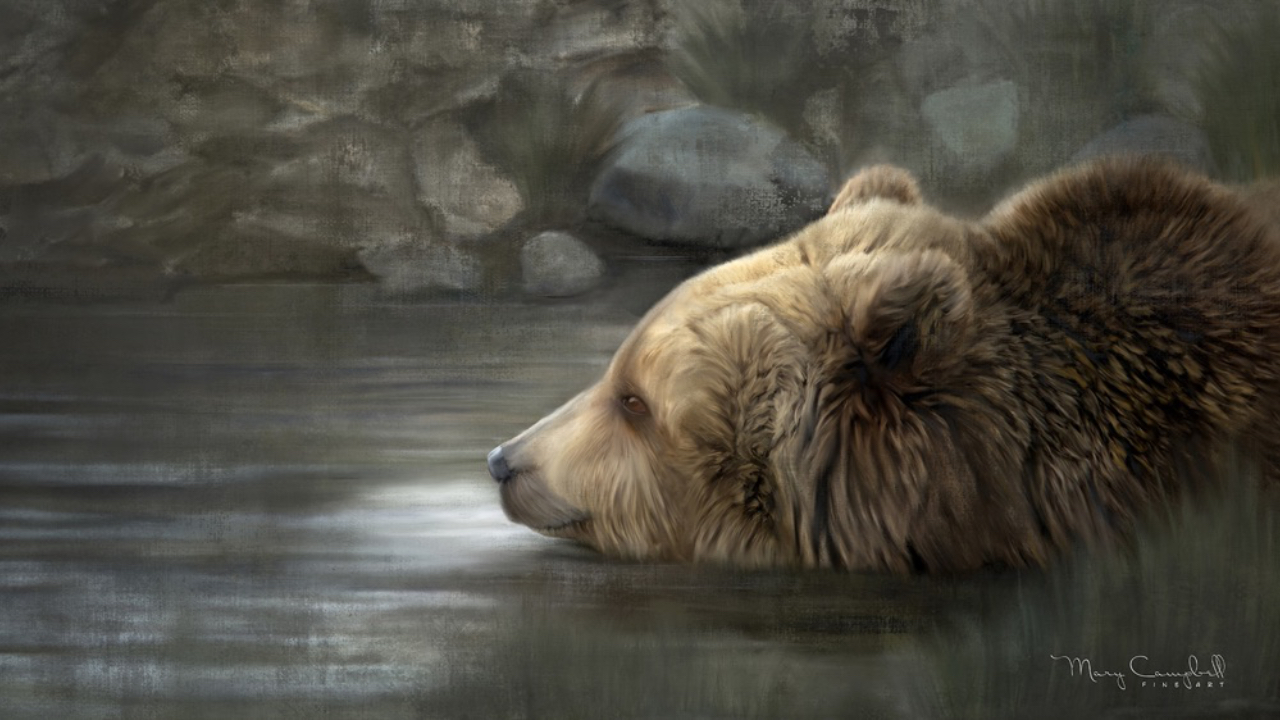 Bear in river