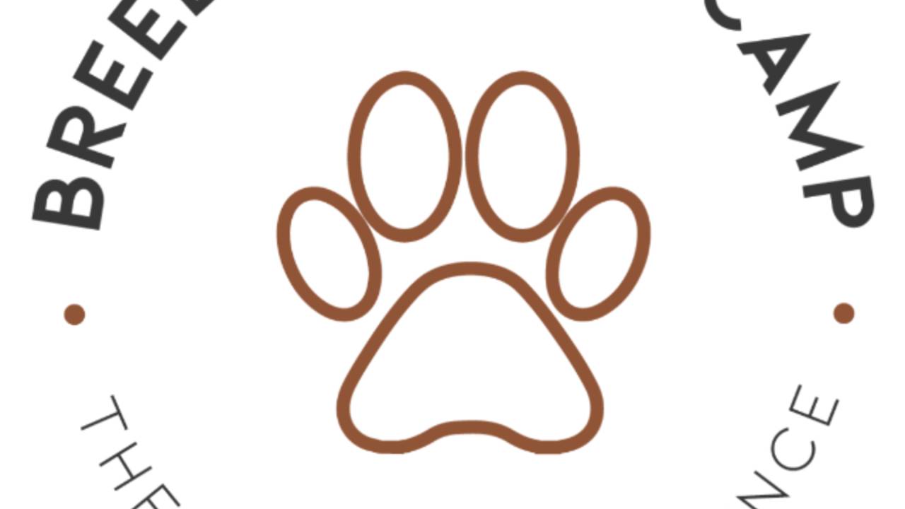 breedersbootcamp.com logo