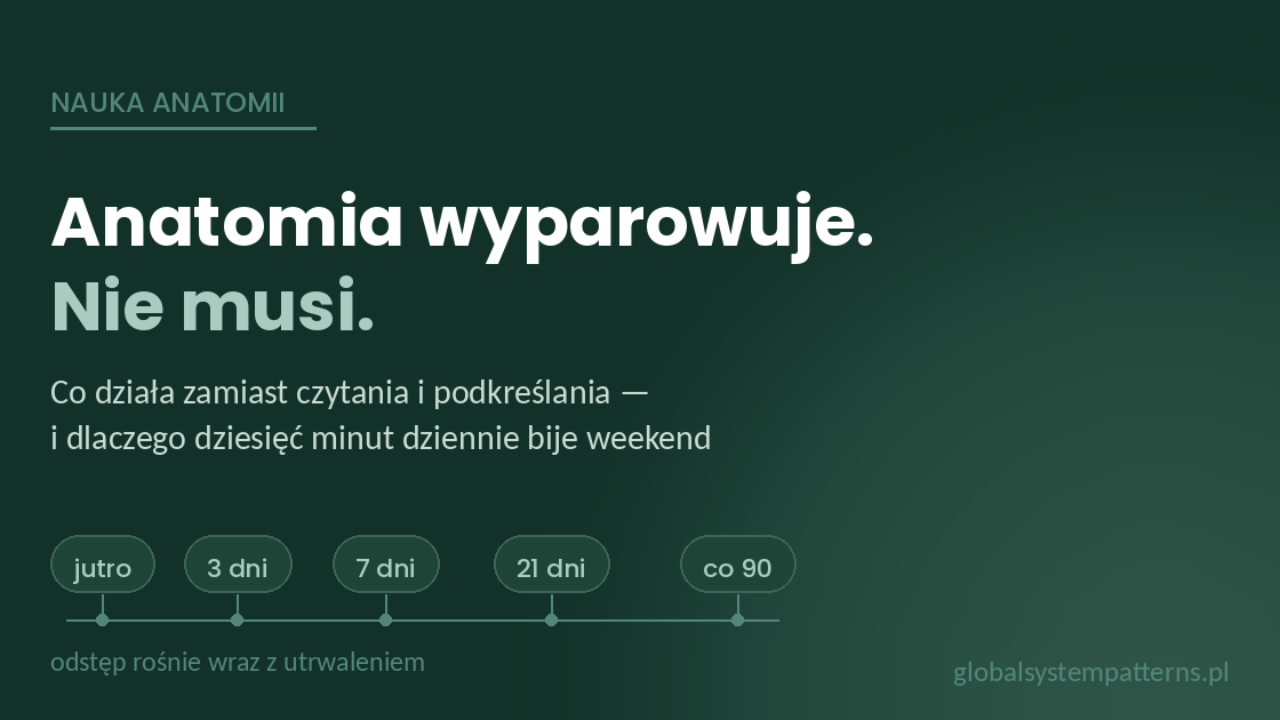 Nauka anatomii funkcjonalnej z GSP