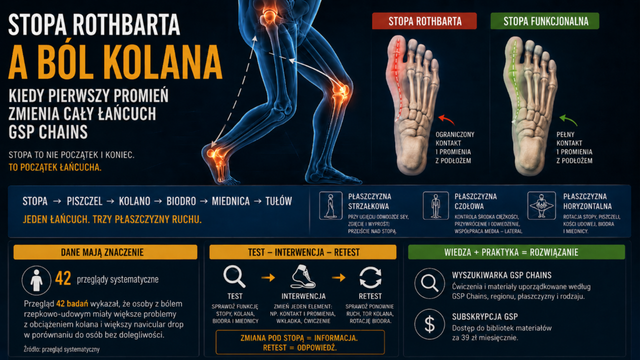 Stopa Rothbarta a ból kolana – grafika pokazująca ograniczony kontakt pierwszego promienia z podłożem, wpływ ustawienia stopy na kolano, biodro i miednicę oraz analizę całego łańcucha w GSP Chains.