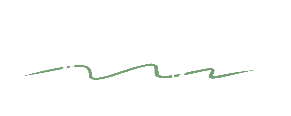 Bryan Vignery Logo