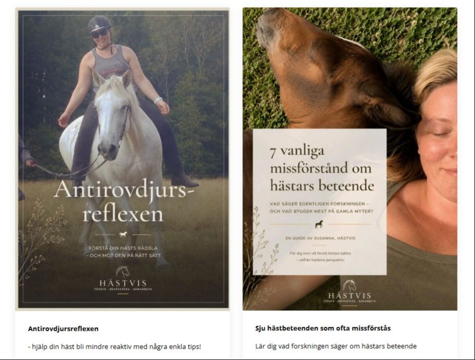 En översiktsbild över de gratis minikurser som erbjuds. Klicka på länken så får du ta del av dem