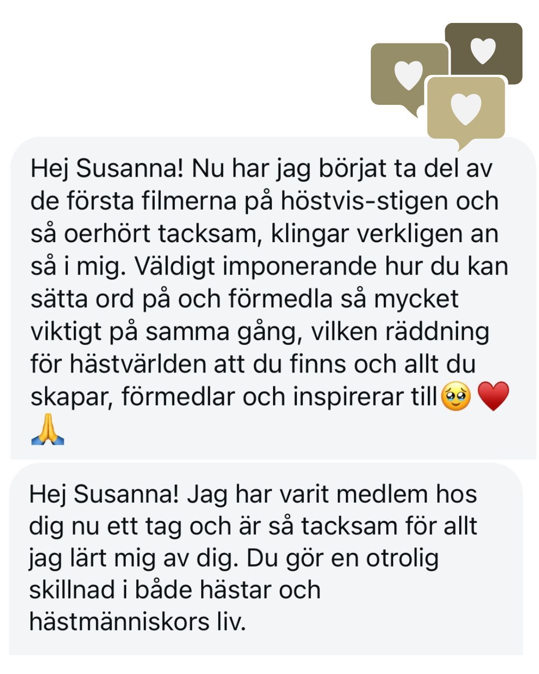 Recension; Ta chansen och möjligheten. I Hästvisflocken är vi alla likasinnade och hjälper varandra. Peppar, stöttar, och naturligtvis har vi Susanna med all sin kunskap. 