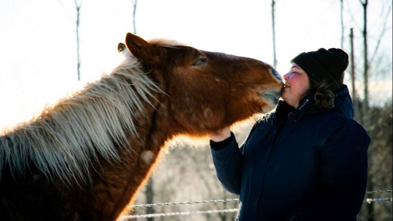 Microsoft campus visual data 3