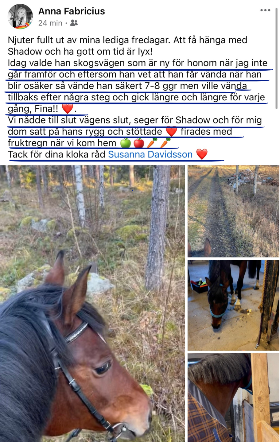 Facebookinlägg från Anna Fabricius där hon delar en reflektion om att rida sin häst Shadow i skogen. Hon beskriver hur Shadow steg för steg vågade gå längre trots osäkerhet. Bilden innehåller flera foton från ridturen, där Shadow syns i skogsmiljö