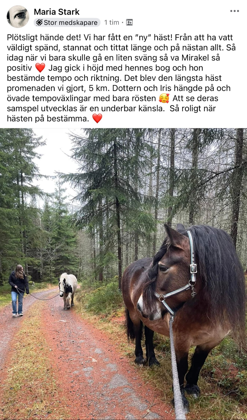 Recension som säger: Bara gör´t! Världens bästa flock med en underbar Susanna som alltid tar sig tid att hjälpa med de frågor, funderingar, eller utmaningar man har 