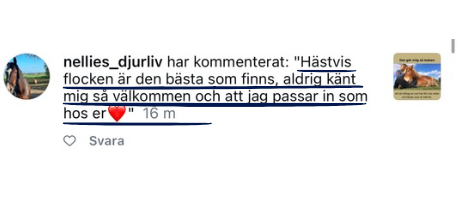 Hästvisflocken är den bästa som finns, aldrig känt mig så välkommen och att jag passar in som hos er (hjärta)