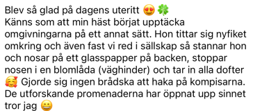 Recension; Ta chansen och möjligheten. I Hästvisflocken är vi alla likasinnade och hjälper varandra. Peppar, stöttar, och naturligtvis har vi Susanna med all sin kunskap. 