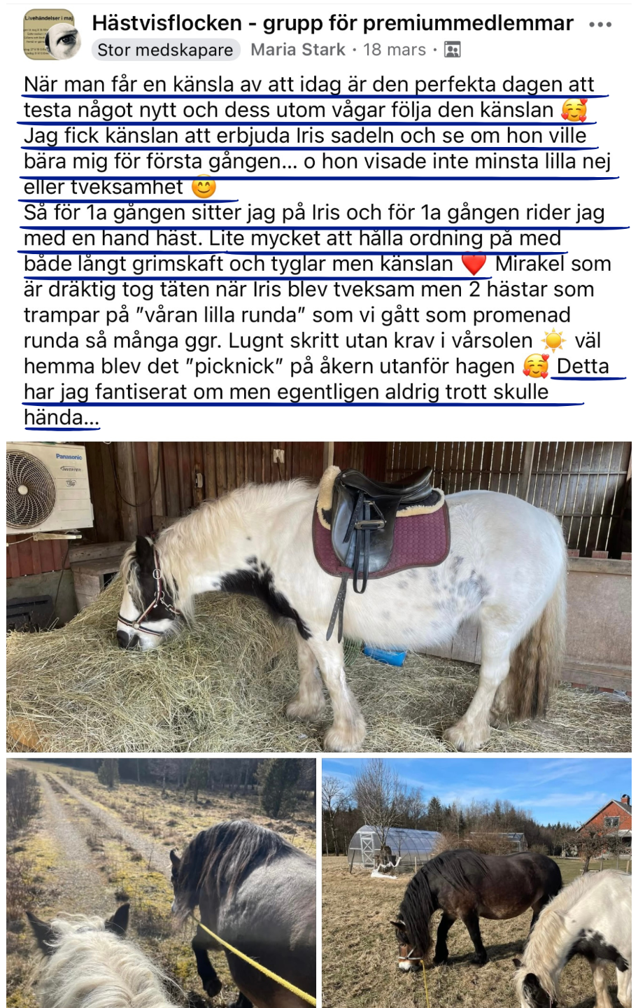 Facebookinlägg från Maria Stärk i gruppen 'Hästvisflocken – grupp för premiummedlemmar'. Hon berättar känslosamt om hur hon för första gången rider sin häst Iris med en hand, och att de tillsammans vågat något nytt. Inlägget innehåller flera bilder på Maria med sin vita häst, inklusive en bild från en picknick vid en åker