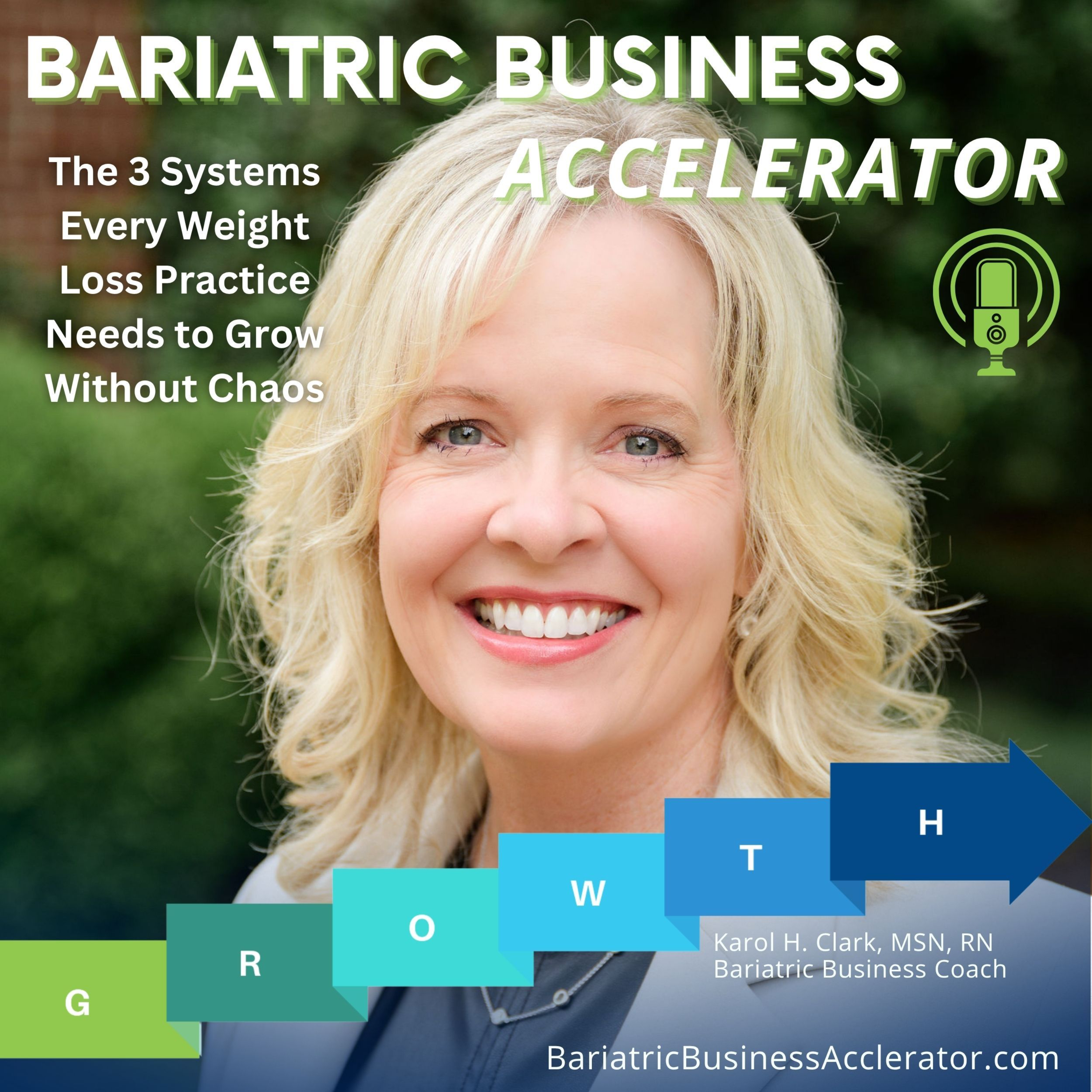 130 - The 3 Systems Every Weight Loss Practice Needs to Grow Without Chaos episode artwork