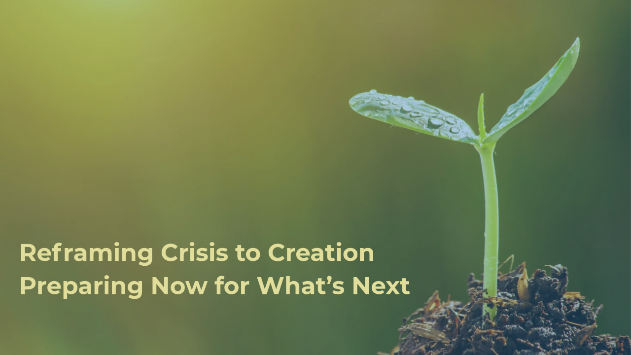 Photo of a seedling popping up through the dirt with a sunlit background and article title.