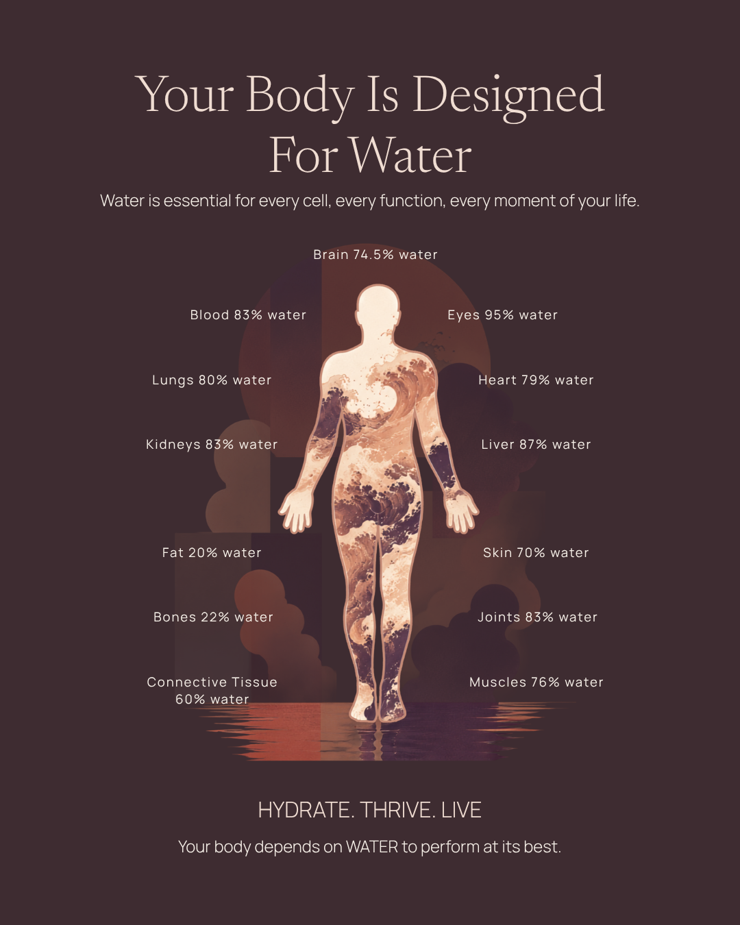 Your body is designed for water