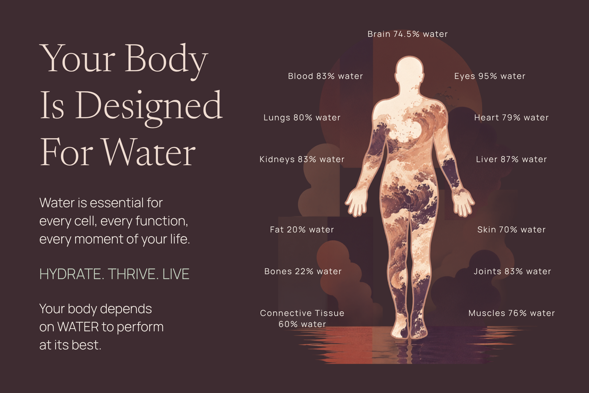 Your body is designed for water