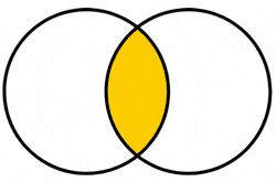 Animated sketch of Venn diagram - intuitive thinking and pattern identification others miss