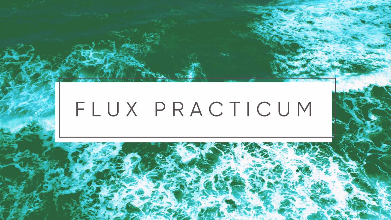 Flux Practicum