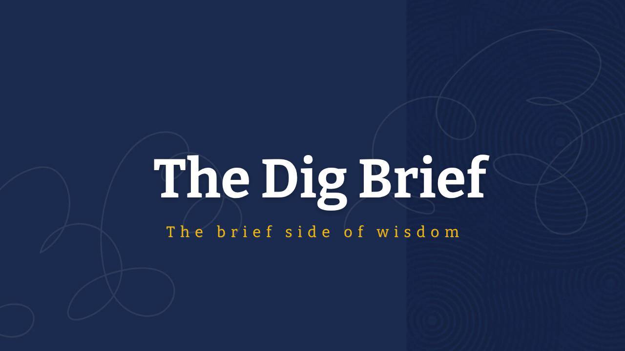 The Dig Brief