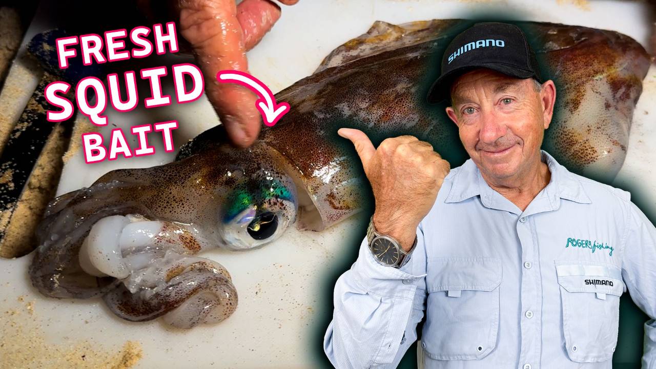 MULTIPLE WAYS to Fish with Fresh SQUID off the Beach!