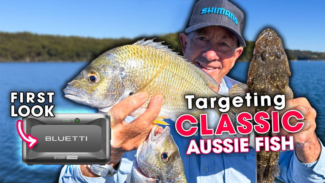 I'm Targeting Bread and Butter Fish!