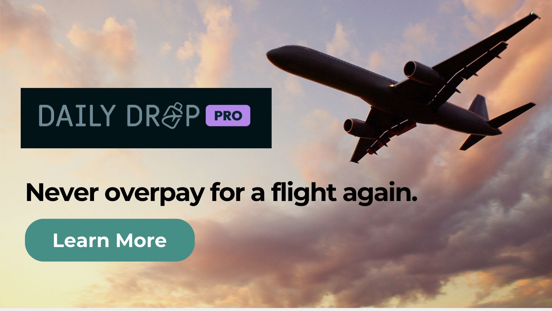 Fare Drop Logo Suitcase with Plane