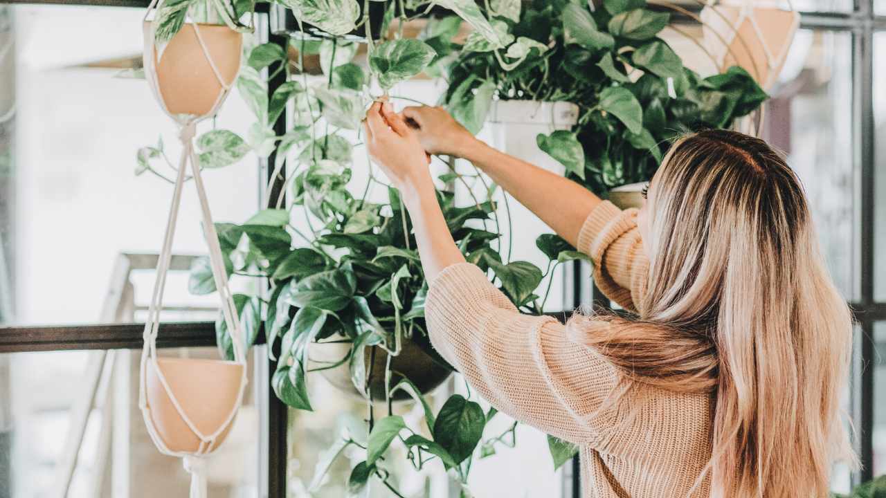 Woman caring for indoor plants, symbolising slow living, intentional lifestyle, and wellbeing