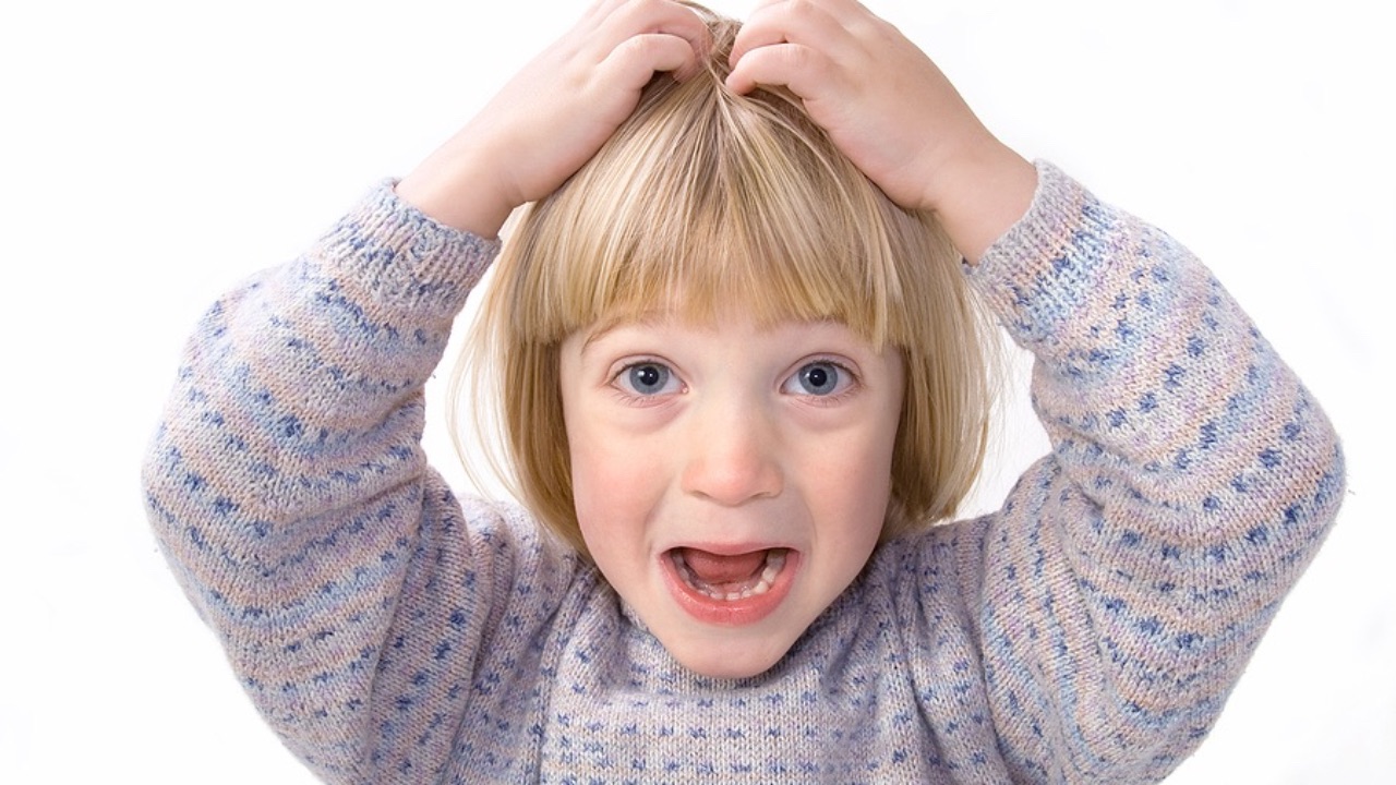 Understanding the fight, flight, freeze response in anxious children