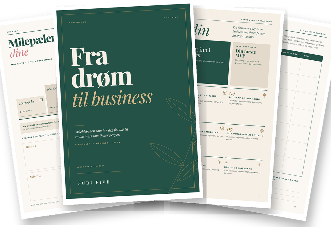 Sider fra arbeidsboka til Fra drøm til business