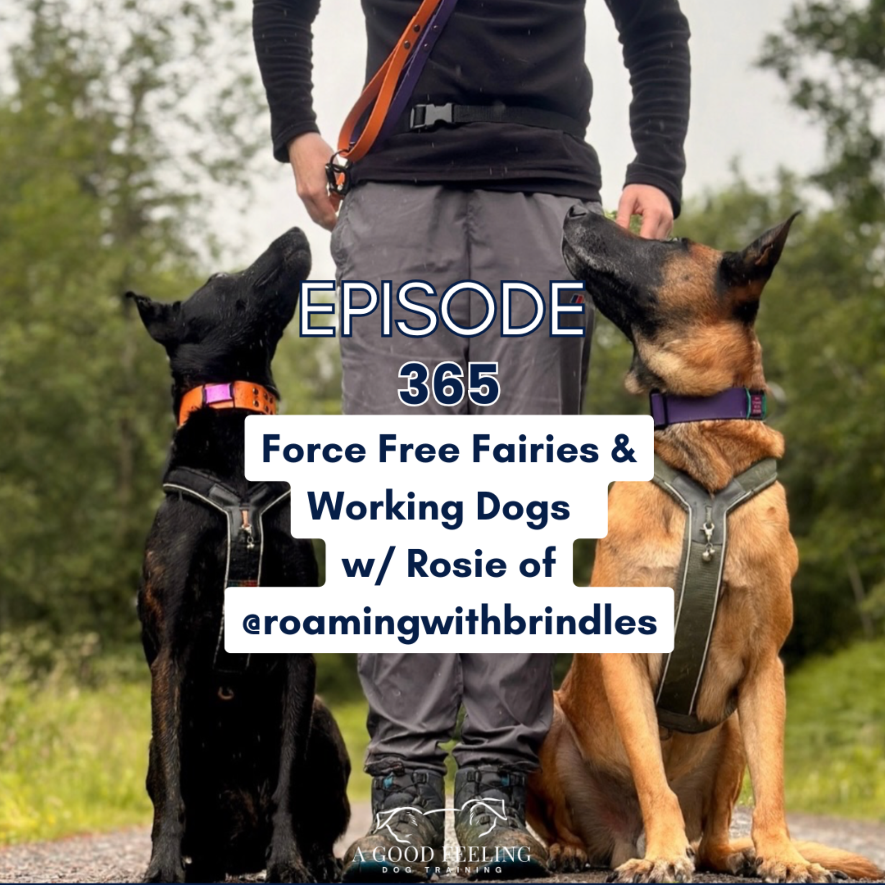 365. Force Free Fairies & Working Dogs w/ Rosie of @roamingwithbrindes