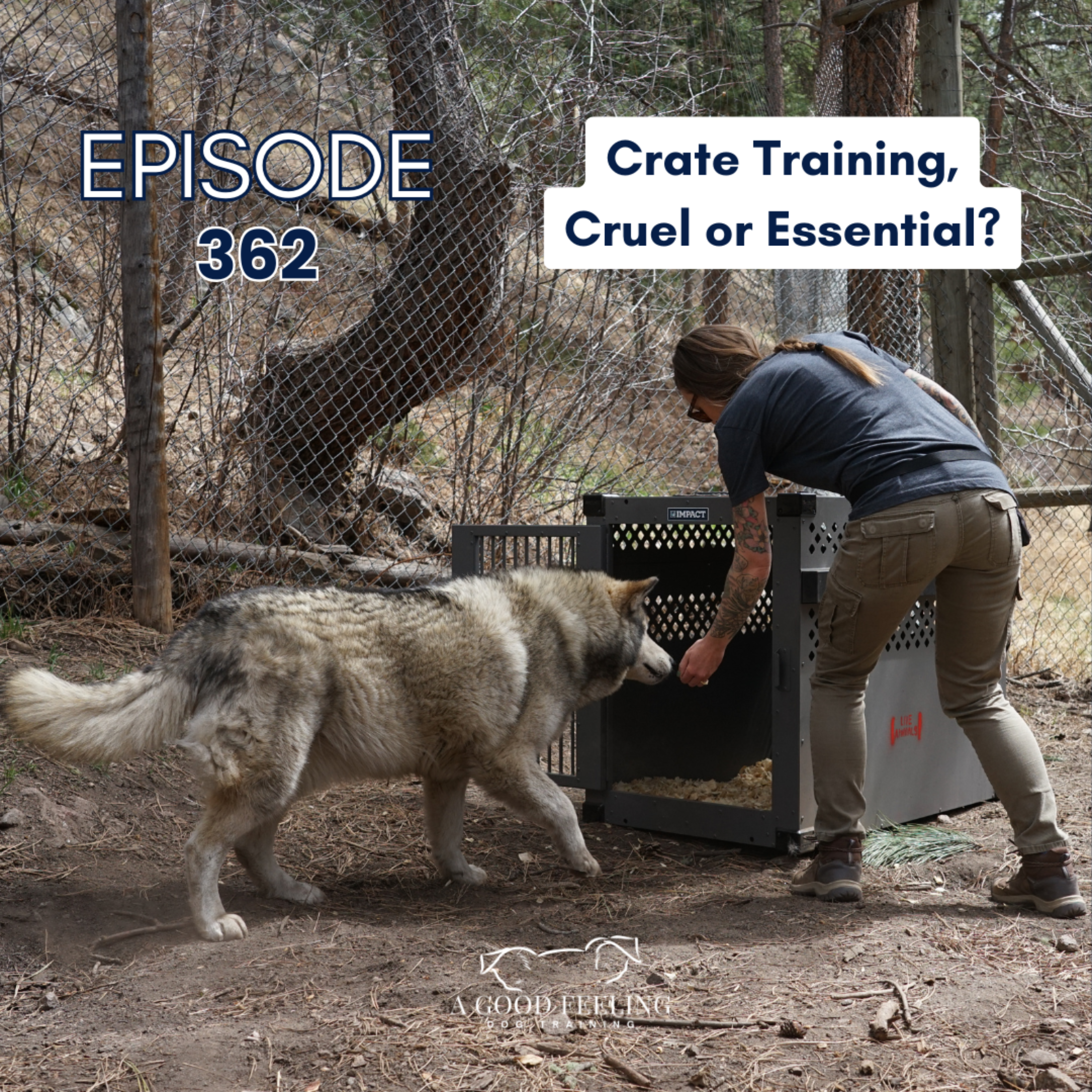 362. Crate Training, Cruel or Essential?
