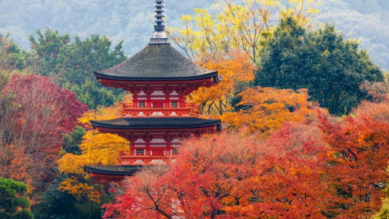 Kyoto Sunrise at Kiyomizu-dera Temple in Autumn