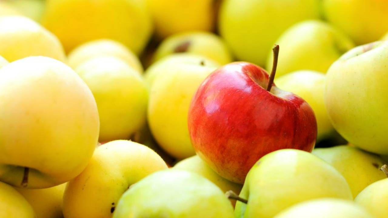 red apple amid yellow apples