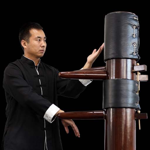 Wing Chun Wooden Dummy Techniques