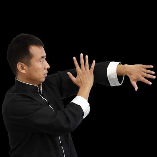 Wing Chun Arm combinations