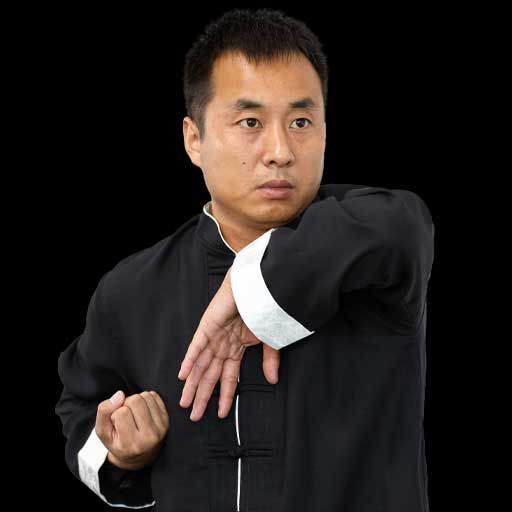 Wing Chun Biao Zhi Fist Form