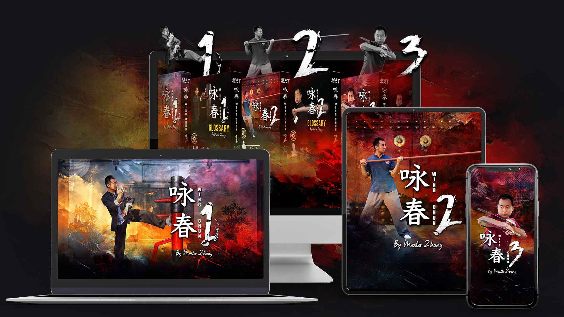 MAT Shaolin Kung Fu Basics Online Program