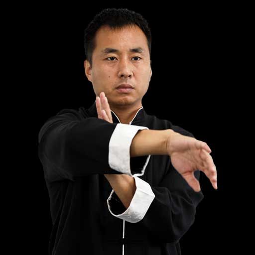 Wing Chun Hand techniques and arm moves