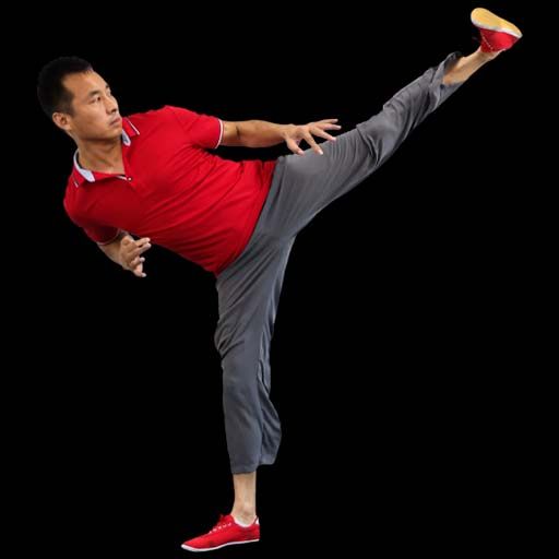 Kicks and Knee Strikes