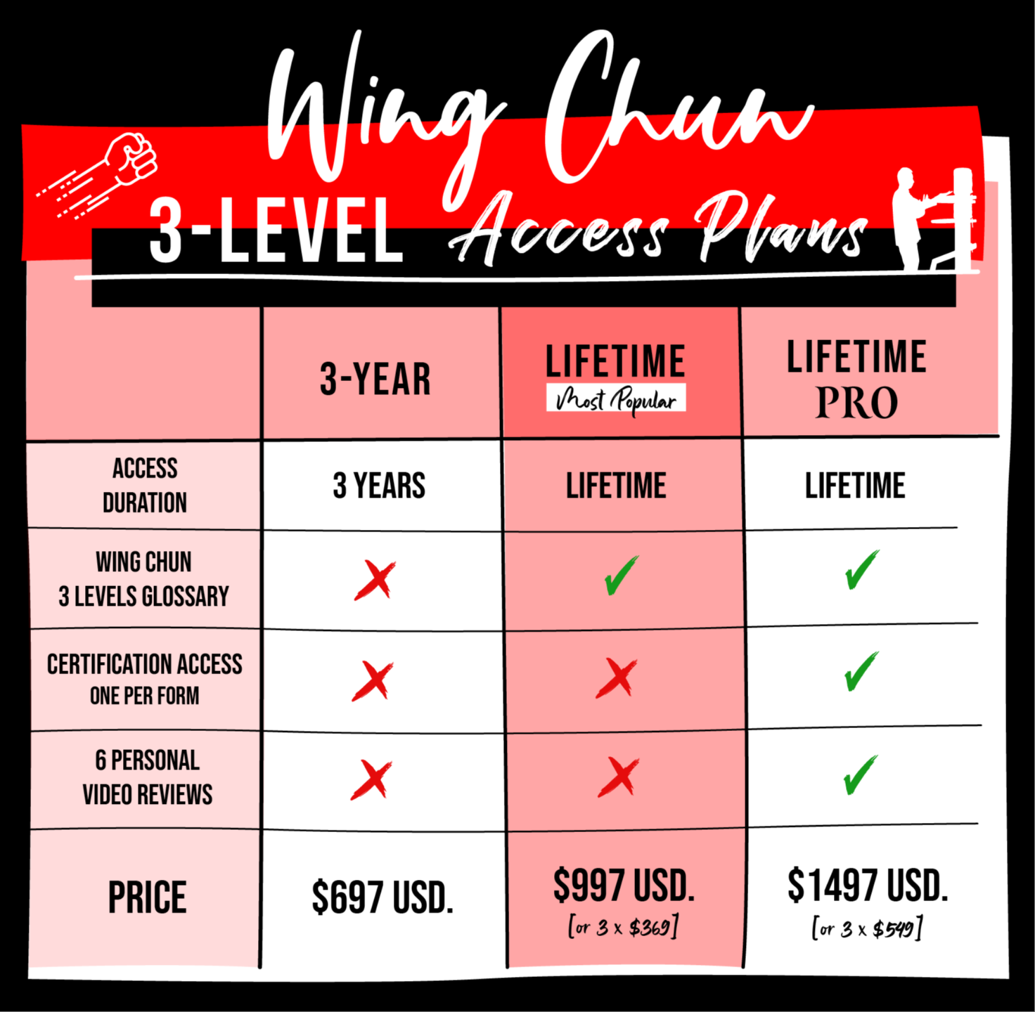 MAT | Wing Chun 3-Level Access Plans - Complete Ip Man Wing Chun System Program by Master Zhang