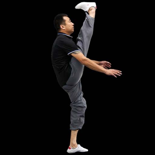 Martial arts Flexibility and Strength